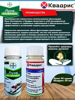 Квадрис и Луна Экспириенс Bayer 193882635 купить за 962 ₽ в интернет-магазине Wildberries