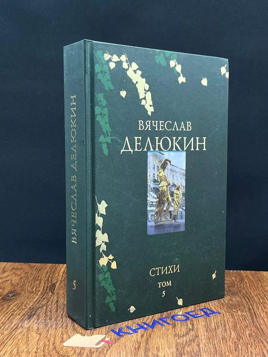 В. Делюкин. Поэтическое путешествие. Том 5. Стихи