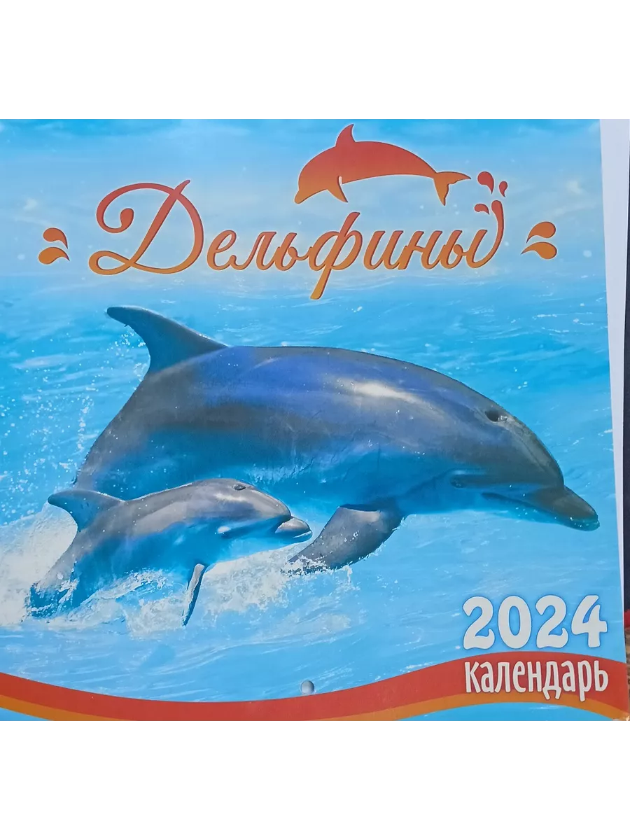 Календарь 2024 настенный