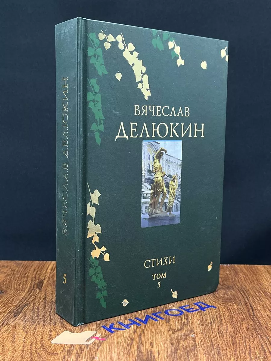 В. Делюкин. Поэтическое путешествие. Том 5