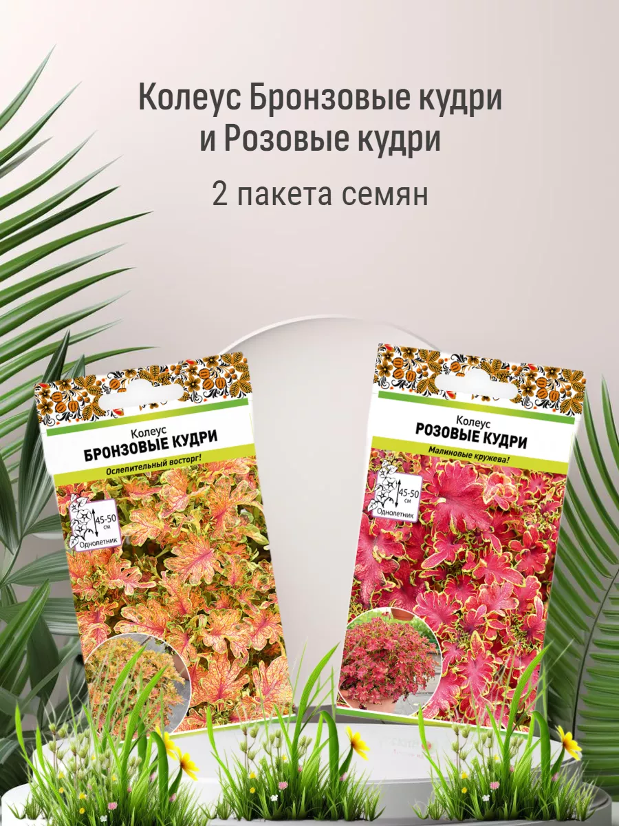 Цветы Колеус Бронзовые кудри и Розовые кудри 2 пакета семян Русский огород  194083046 купить за 274 ₽ в интернет-магазине Wildberries