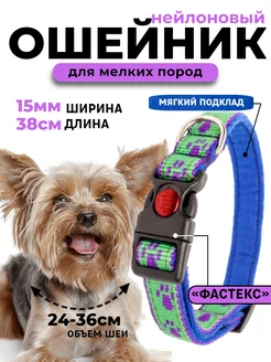 Ошейник для собак и кошек 15 мм нейлон красивый с подкладом Алтайский ошейник 194101676 купить за 241 ₽ в интернет-магазине Wildberries