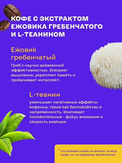 Amazonica Кофе с Ежовиком и L-теанином — бодрость и фокус, вариант, фото 3