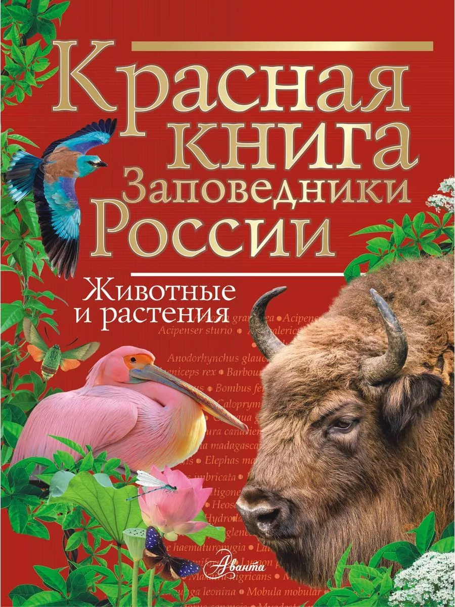 Красная книга Заповедники России Животные и растения Издательство АСТ  194296518 купить за 1 200 ₽ в интернет-магазине Wildberries