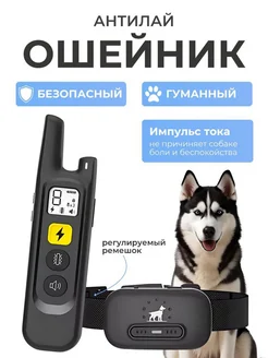 Интернет‑магазин Wildberries: широкий ассортимент товаров - скидки каждый день!
