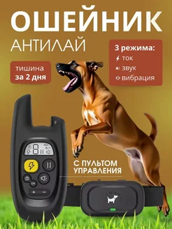Ошейник для собак с пультом Электроошейник 194464249 купить за 1 776 ₽ в интернет‑магазине Wildberries