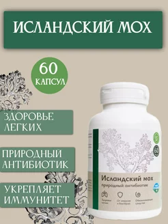 Исландский мох цетрария в капсулах, 60 штук Uralberry 194562132 купить за 426 ₽ в интернет-магазине Wildberries