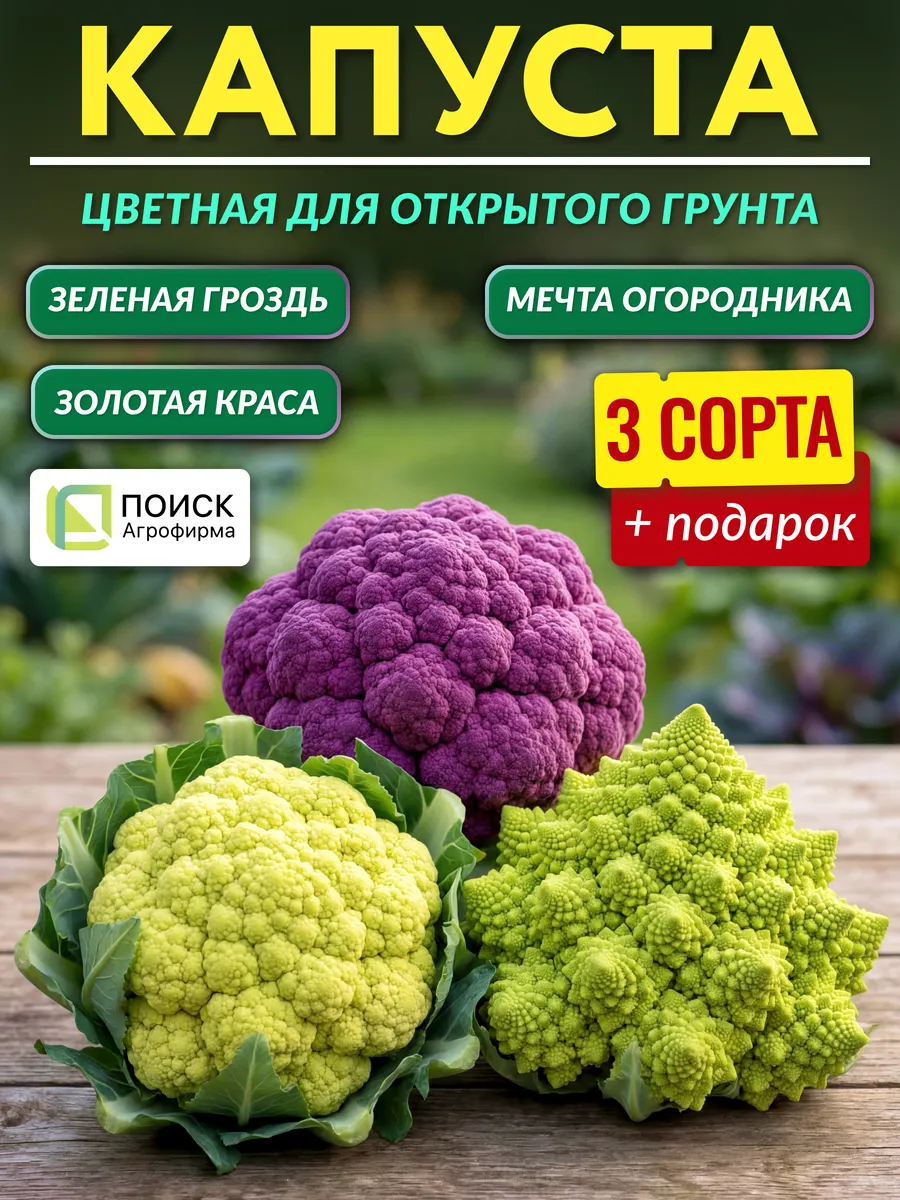 Семена цветной капусты для открытого грунта