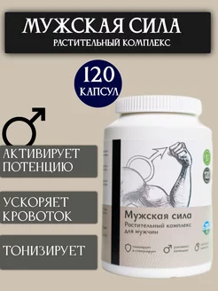 Мужская сила, травы для здоровья, 120 капсул Uralberry 194569959 купить за 828 ₽ в интернет-магазине Wildberries