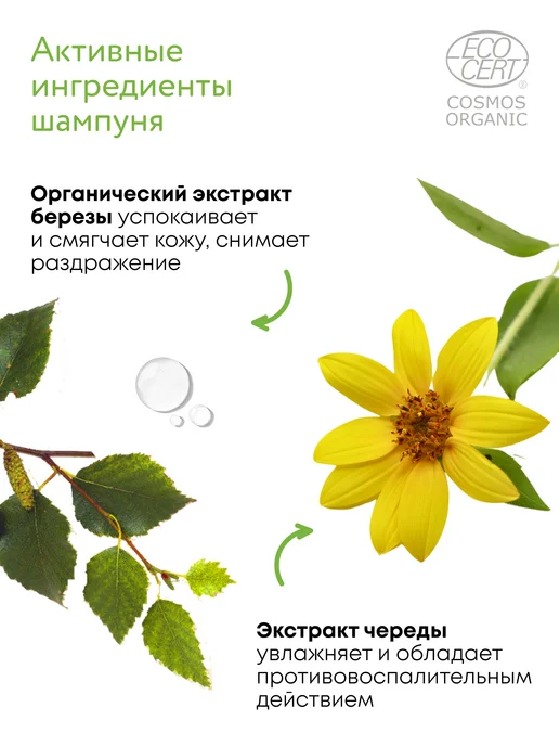 Natura siberica Жидкое мыло детское для рук и подмывания младенцев 0+ 500 мл, 500 мл, фото 4