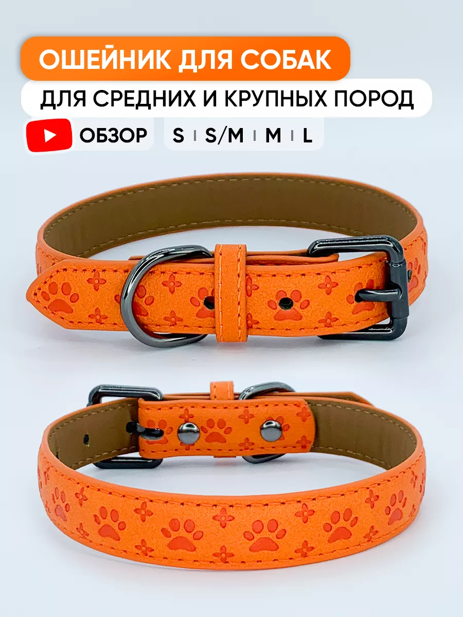 Кожаный ошейник для собак и щенков всех пород