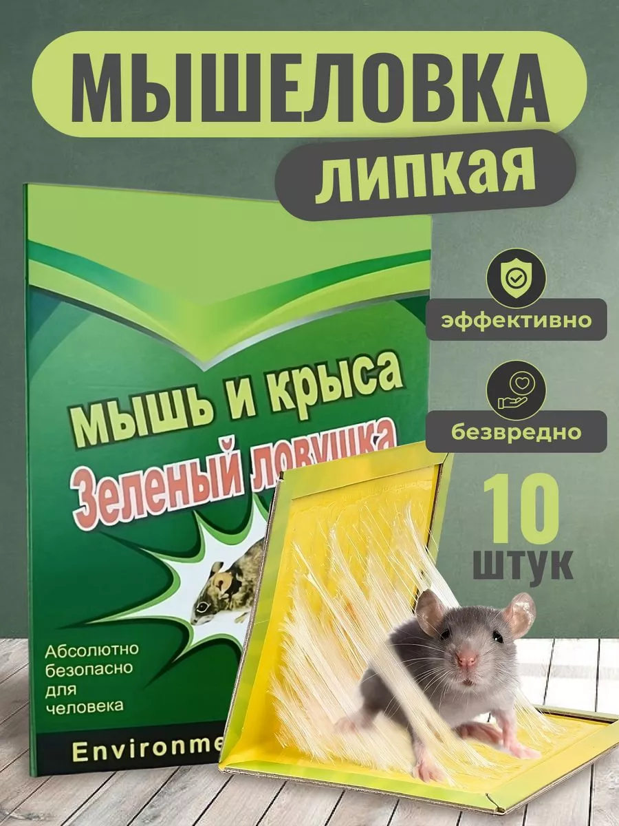 Липучка от мышей 10 штук R&S 195073476 купить за 431 ₽ в интернет-магазине  Wildberries