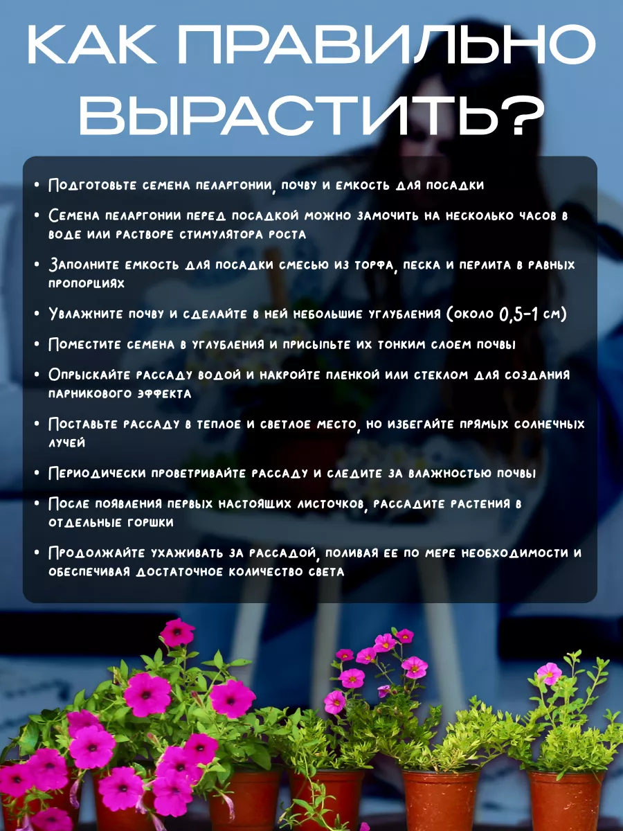 Комнатные цветы Пеларгония Диана F1 низкорослая -3упак семена цветов  195075752 купить за 473 ₽ в интернет-магазине Wildberries