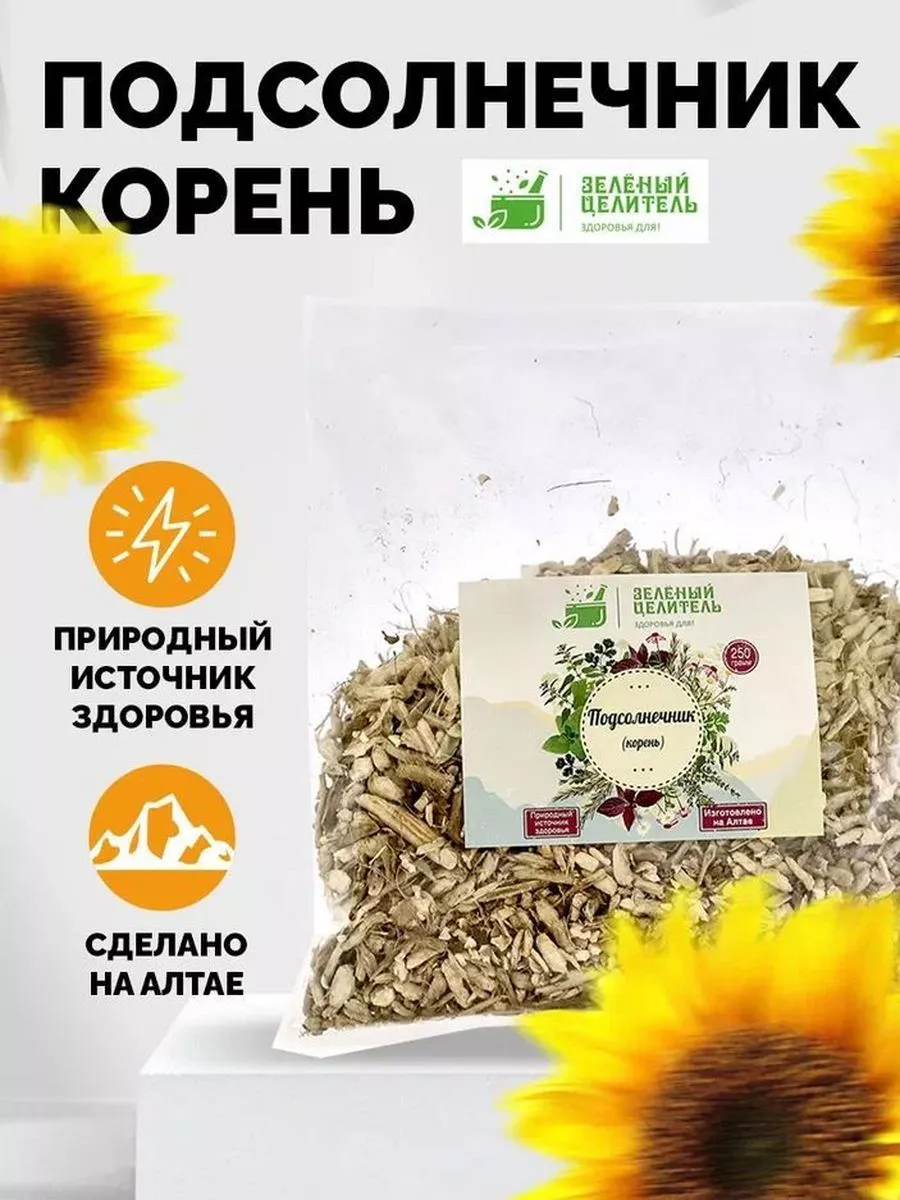 Корень Подсолнуха Купить