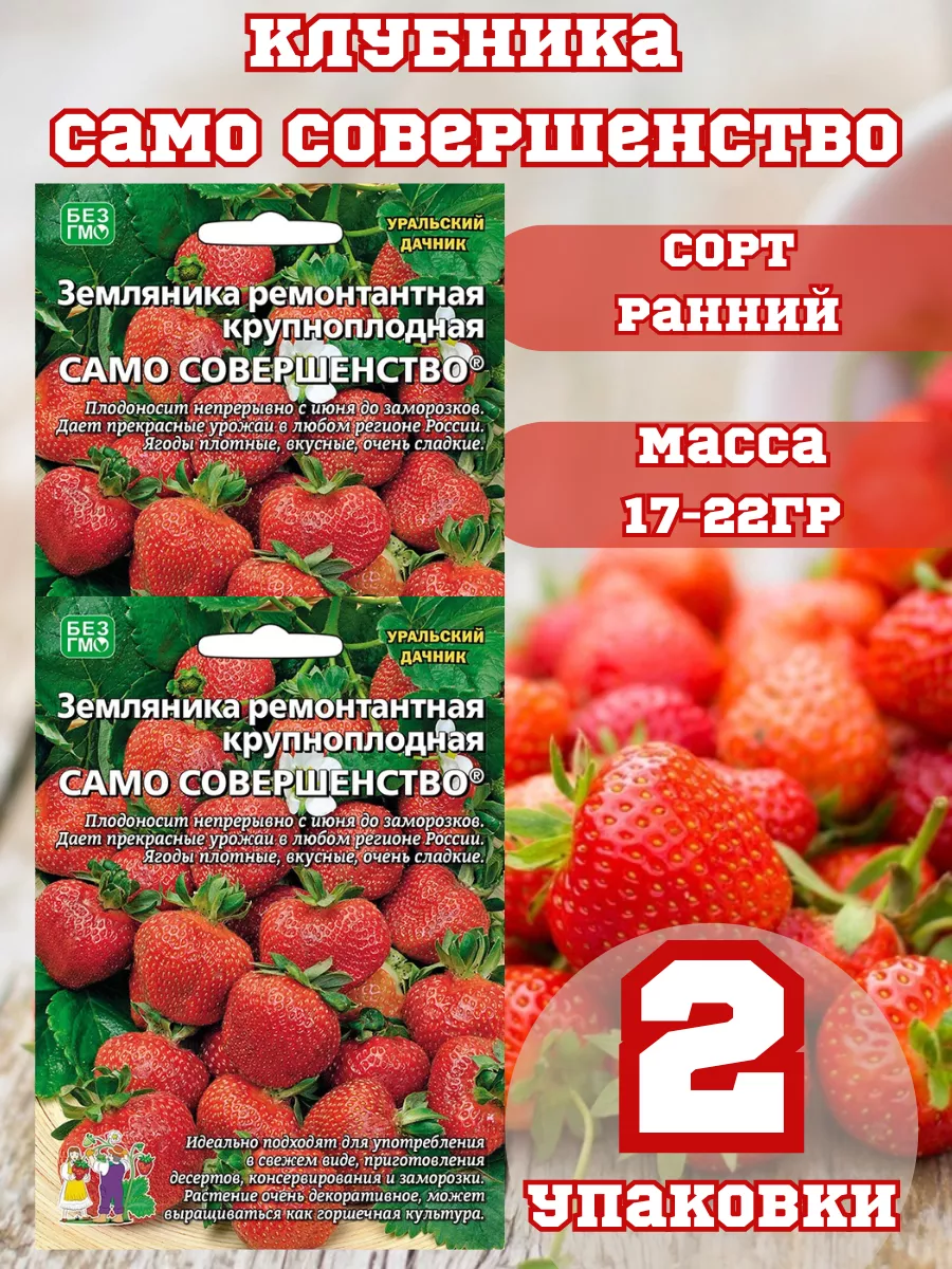 Клубника Само Совершенство 2 упаковки Уральский Дачник 195289559 купить в  интернет-магазине Wildberries