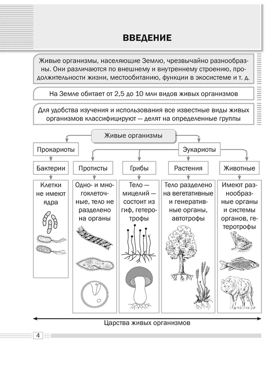 Биология. 7 кл. Опорные конспекты, схемы и таблицы Аверсэв 195296756 купить  в интернет-магазине Wildberries