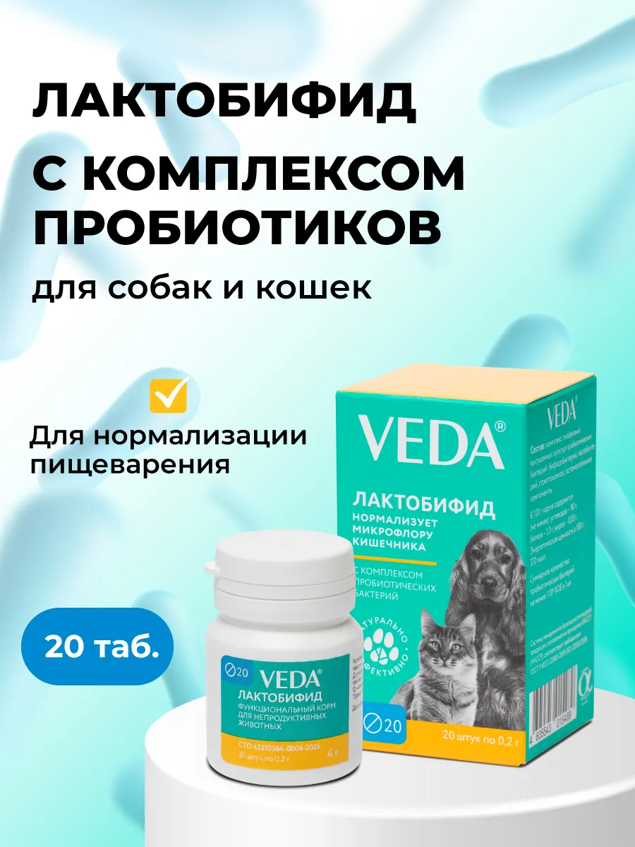 Комплекс пробиотиков для кошек и собак Лактобифид, 20 таб