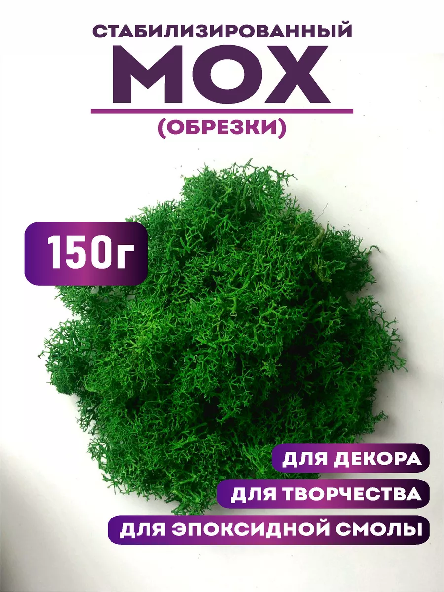 Мох стабилизированный эконом