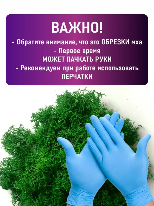 Зеленое время Мох стабилизированный эконом, зеленый, фото 2