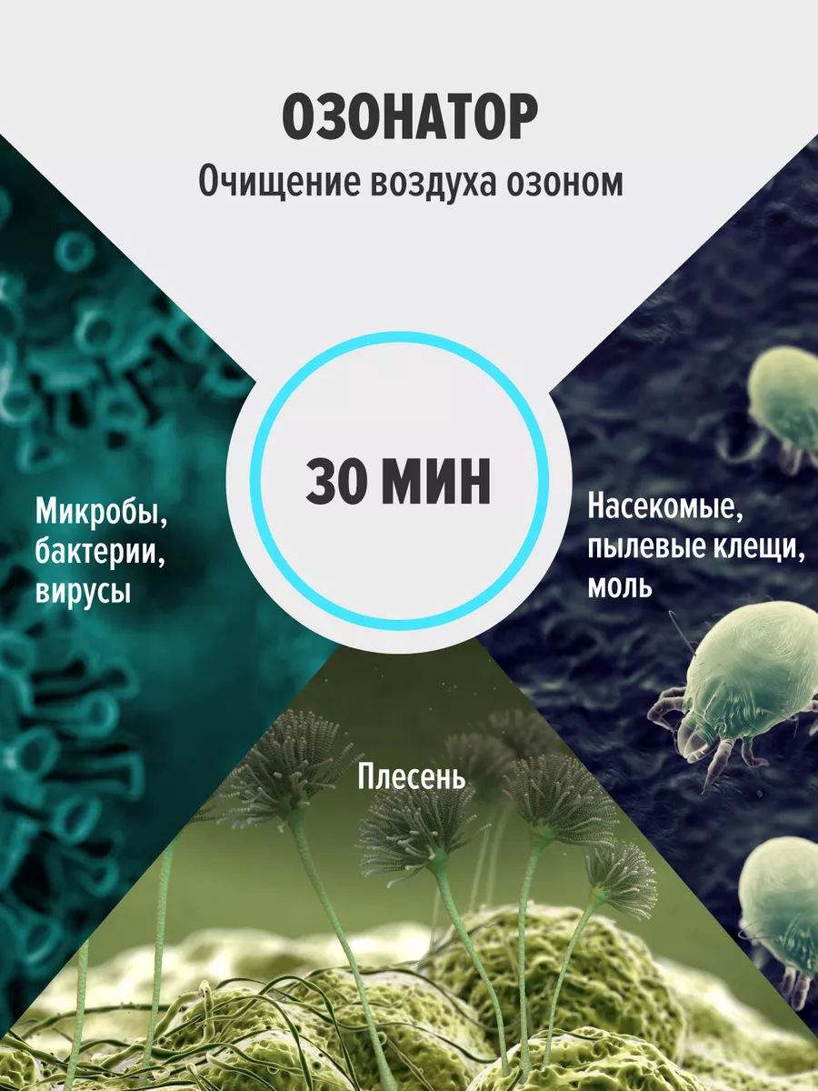 Озонатор для дома Evo santé 195352591 купить за 5 110 ₽ в интернет-магазине  Wildberries