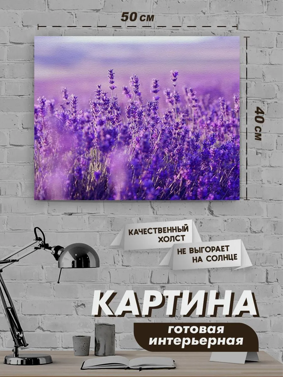 Картина на холсте,40x50,лаванда,c подрамником