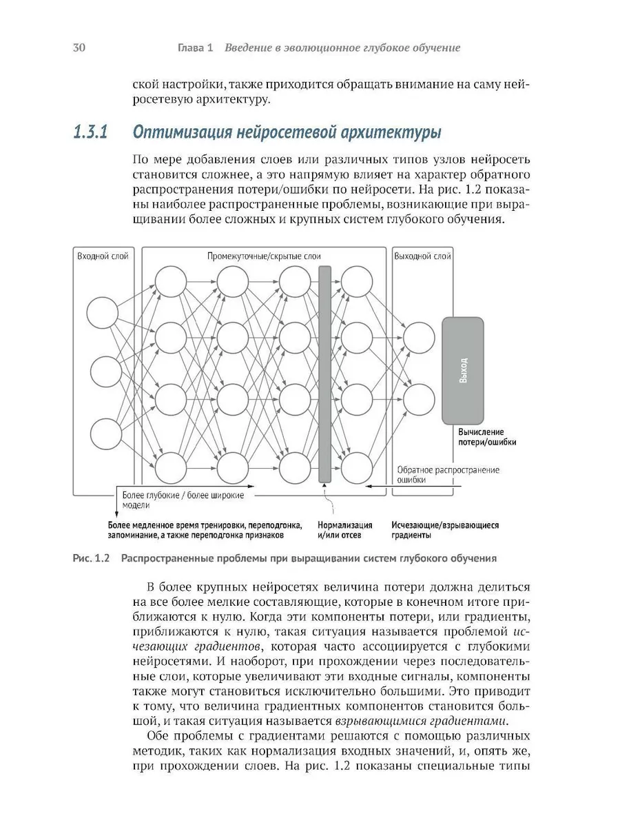 Эволюционное глубокое обучение. Генетические алгоритмы и... ДМК 195507674  купить за 2 950 ₽ в интернет-магазине Wildberries