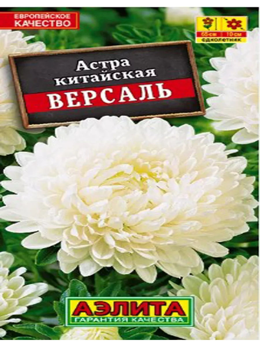 Семена Астры пионовидной набор 5 пакетов Ваш Дом и Сад 195577355 купить в  интернет-магазине Wildberries