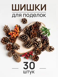 Шишки сосновые для поделок, декора, творчества 30 шт Nature craft 195641985 купить за 180 ₽ в интернет-магазине Wildberries