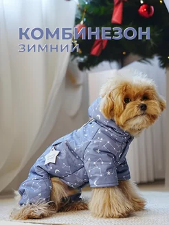 Комбинезон для собак Cheepet 195654009 купить за 972 ₽ в интернет-магазине Wildberries