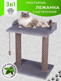 Когтеточка для кошки игрушки для кошек для котят кот Rokki 195658555 купить за 1 904 ₽ в интернет-магазине Wildberries