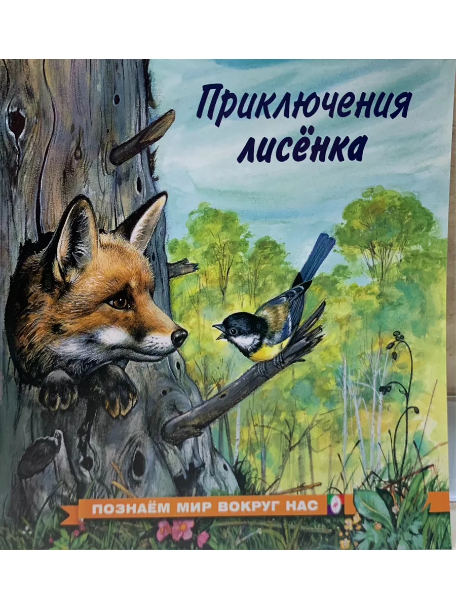Приключения лисёнка