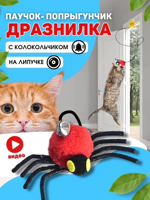 Игрушка для кота смотреть онлайн / КОТЭ / Природа | tarlsosch.ru | Красвью