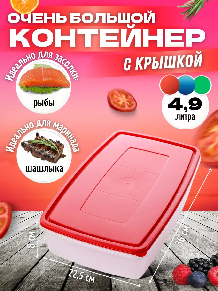 Контейнер для хранения еды большой 4,9 литра Home Valley 195690727 купить  за 369 ₽ в интернет-магазине Wildberries