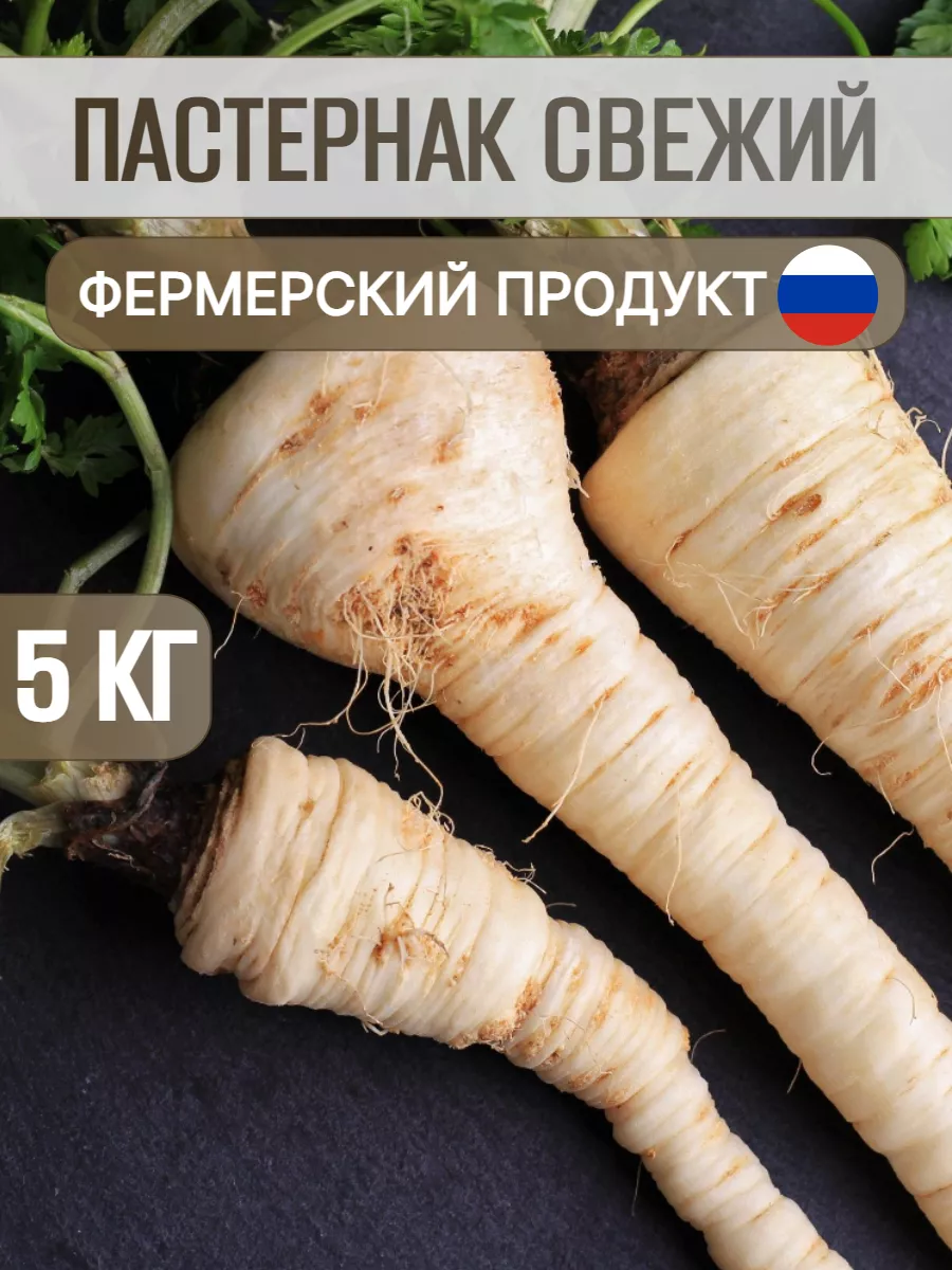 Пастернак свежий корень Сурковский продукт 195779267 купить в  интернет-магазине Wildberries