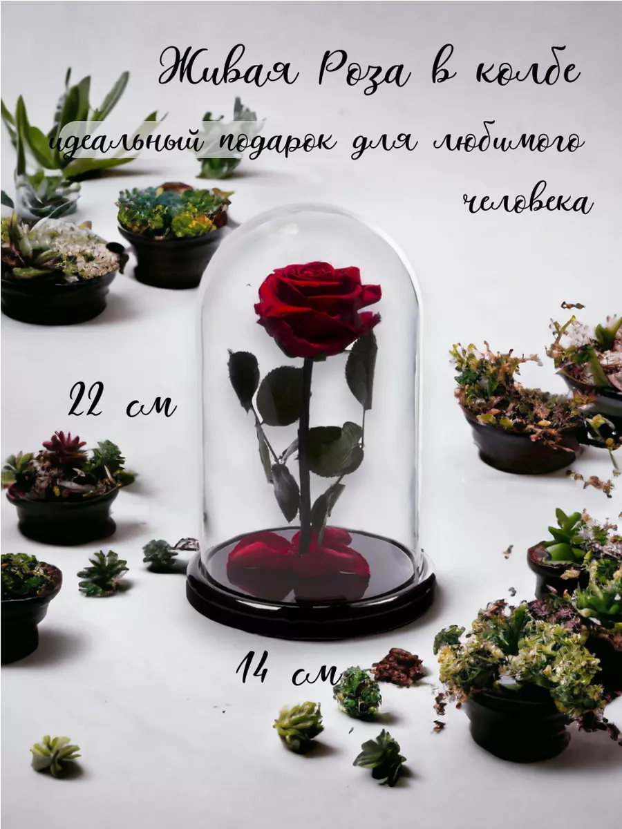 Живые цветы в вакууме Белая роза в стекл. вазе