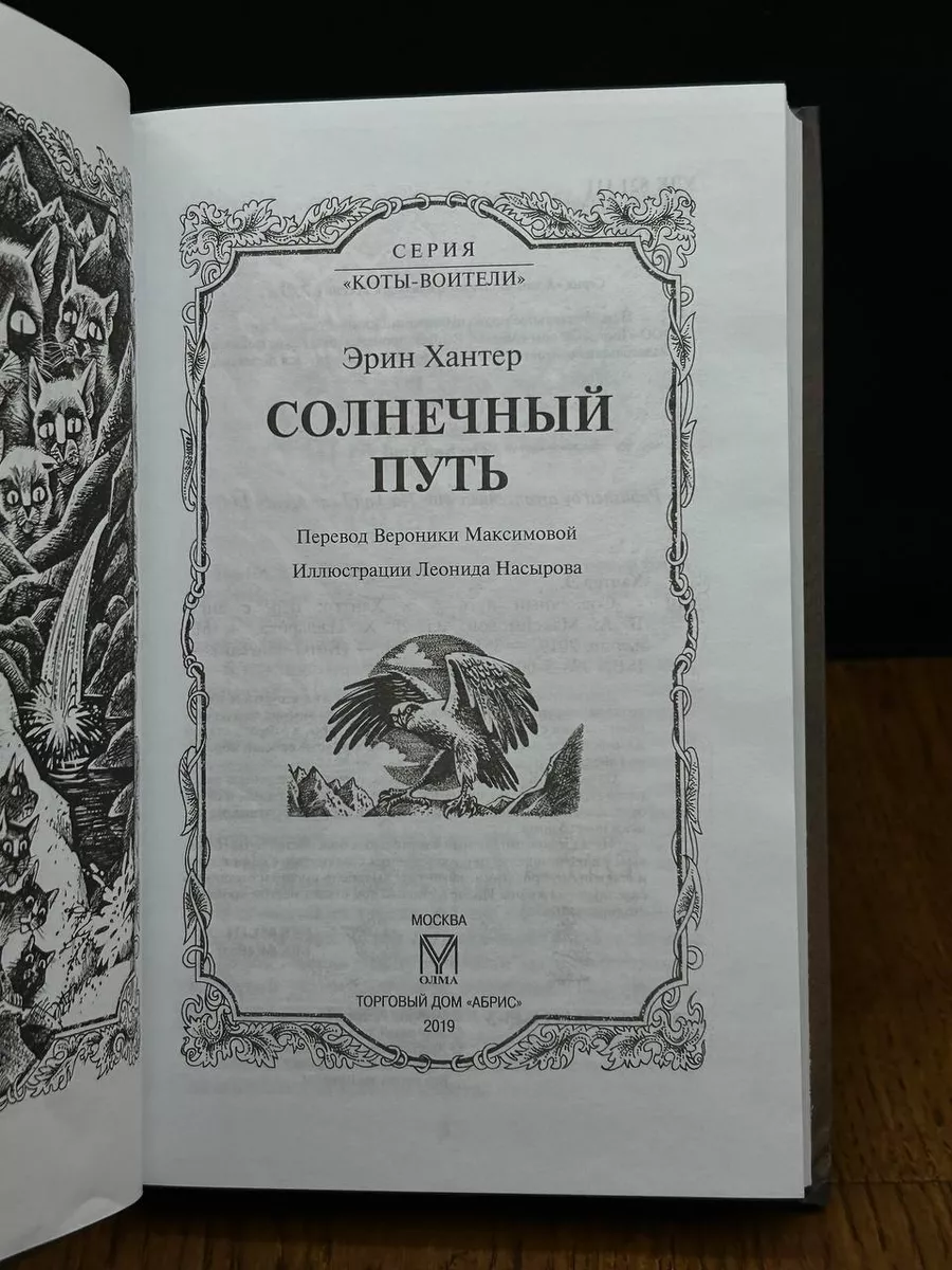 Коты-Воители. Солнечный путь Олма-пресс 195873151 купить за 496 ₽ в  интернет-магазине Wildberries