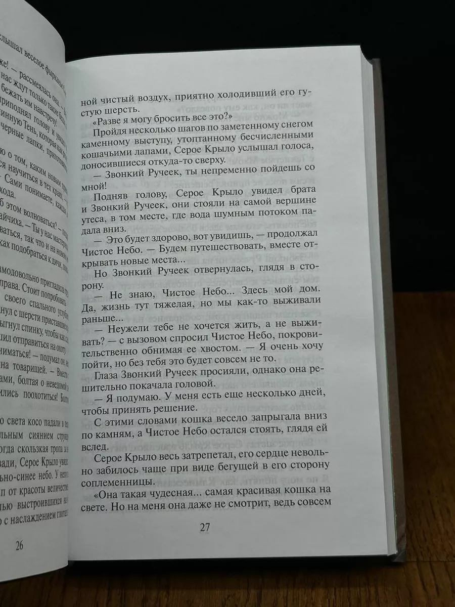 Коты-Воители. Солнечный путь Олма-пресс 195873151 купить за 496 ₽ в  интернет-магазине Wildberries