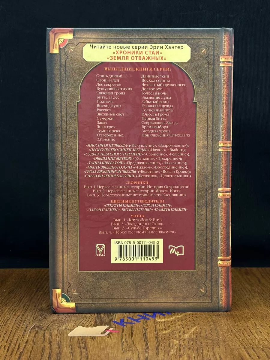 Коты-Воители. Солнечный путь Олма-пресс 195873151 купить за 496 ₽ в  интернет-магазине Wildberries