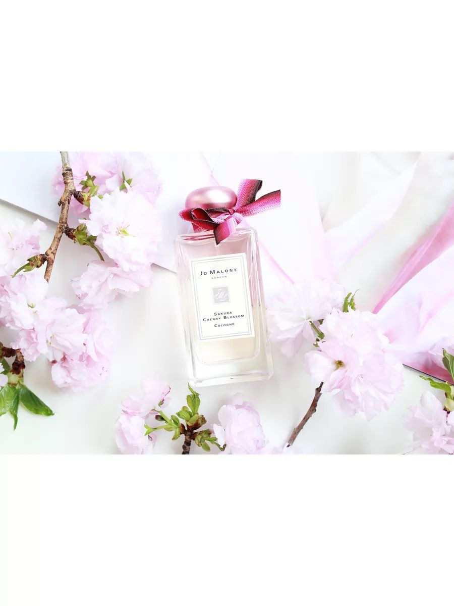 Jo malone cherry blossom. Джо Малон Сакура черри блоссом. Духи Джо Малон Сакура. Jo Malone Sakura Cherry Blossom Cologne 100 мл. Jo Malone Sakura Cherry Blossom 2020.