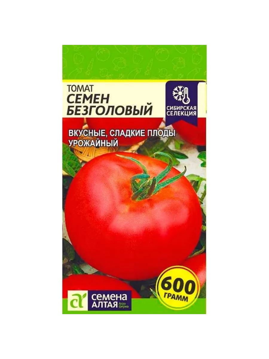 Помидор мичуринский розовый. Томат стерлядь f1. Томат безголовый отзывы. Томат безголовый отзывы. Томат безголовый отзывы.