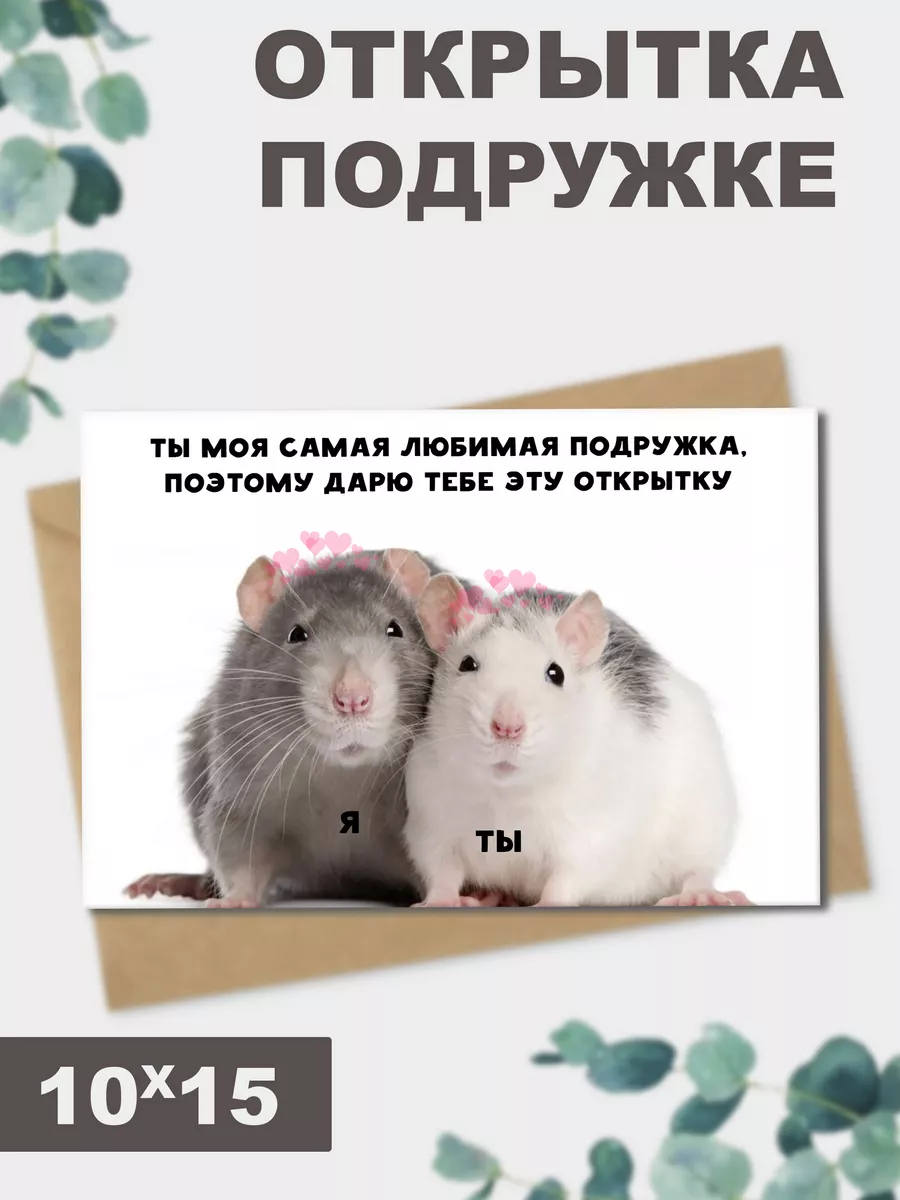 Идеи открыток с крысами: оригинальные и веселые
