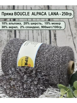 Пряжа BOUCLE ALPACA LANA -10 альпака, 20 шерсть, 15 мохер Пряжа Best for Me 195911162 купить за 1 150 ₽ в интернет-магазине Wildberries