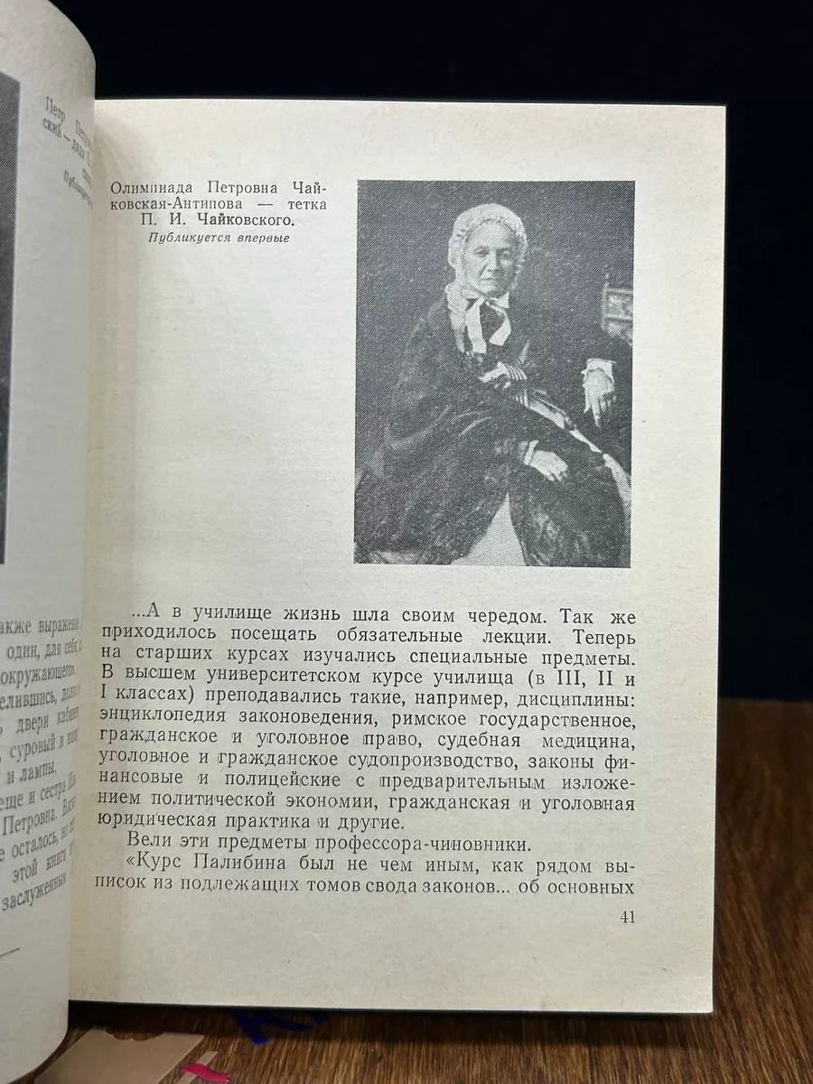 Чайковский в Петербурге Лениздат 195931088 купить за 333 ₽ в  интернет-магазине Wildberries