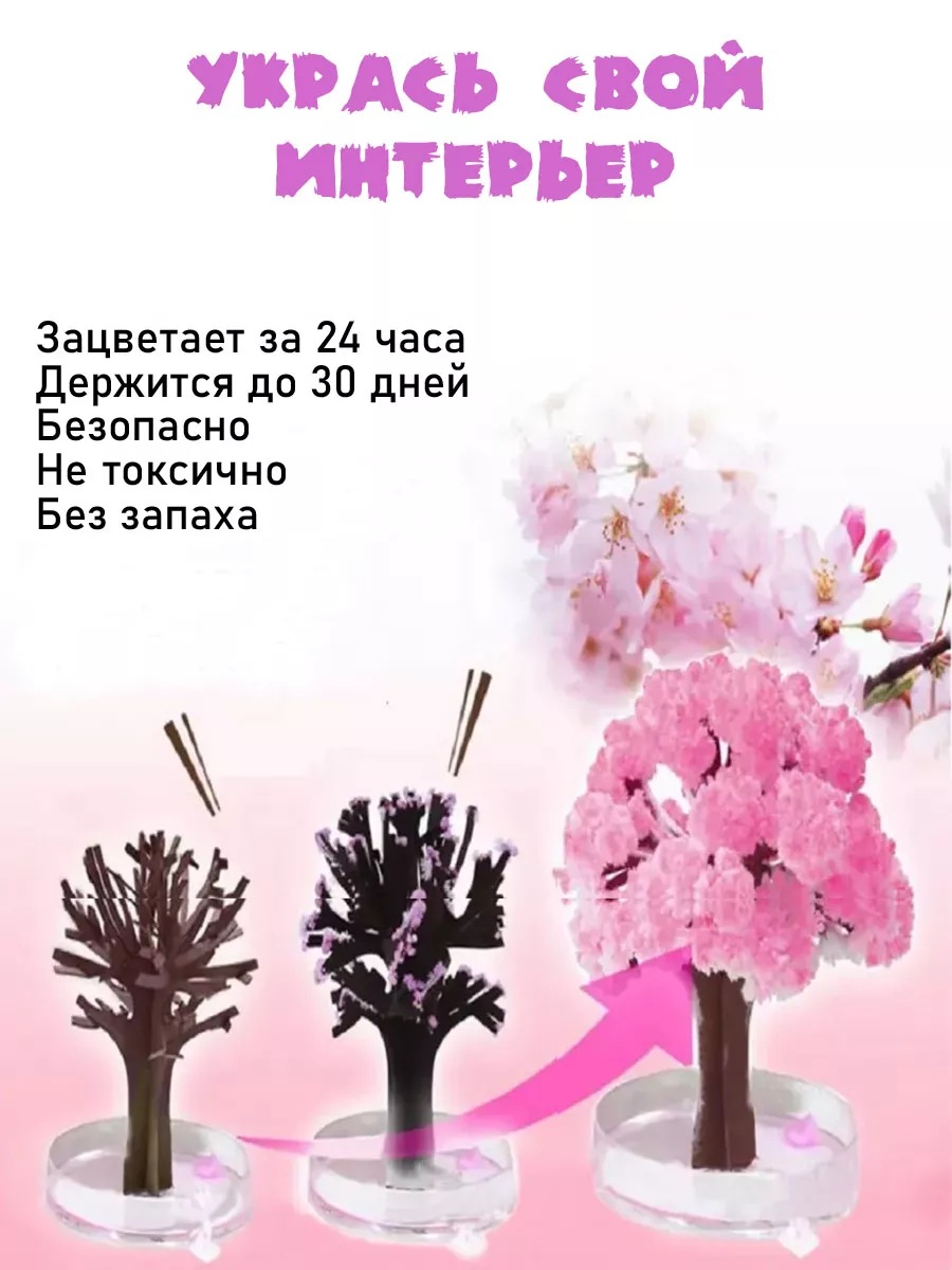 Волшебная сакура подарочное растущее дерево MagicSakura 195989685 купить за  349 ₽ в интернет-магазине Wildberries