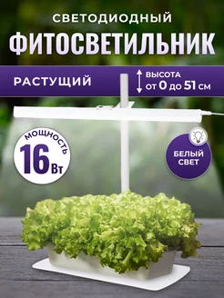 Фитолампа Растущий светильник, светодиодный 16 Вт, белый Здоровья клад 196144508 купить за 1 352 ₽ в интернет-магазине Wildberries