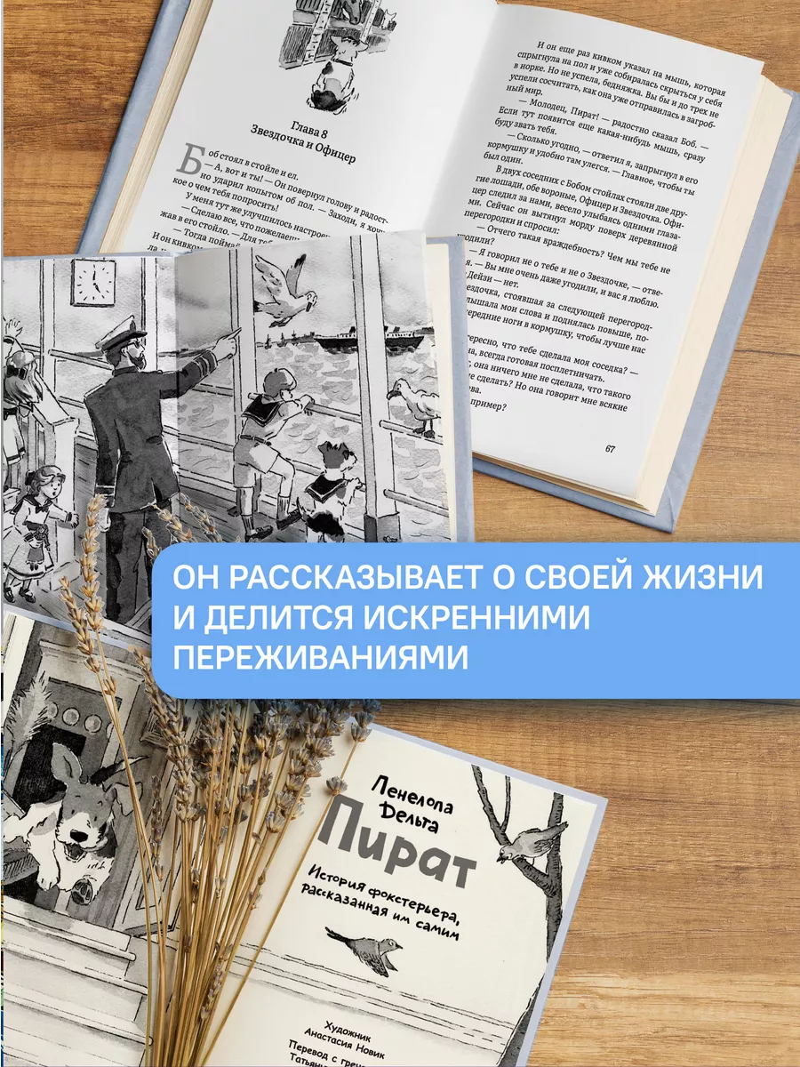 Пират История фокстерьера, рассказанная им самим Никея 196145937 купить за  594 ₽ в интернет-магазине Wildberries