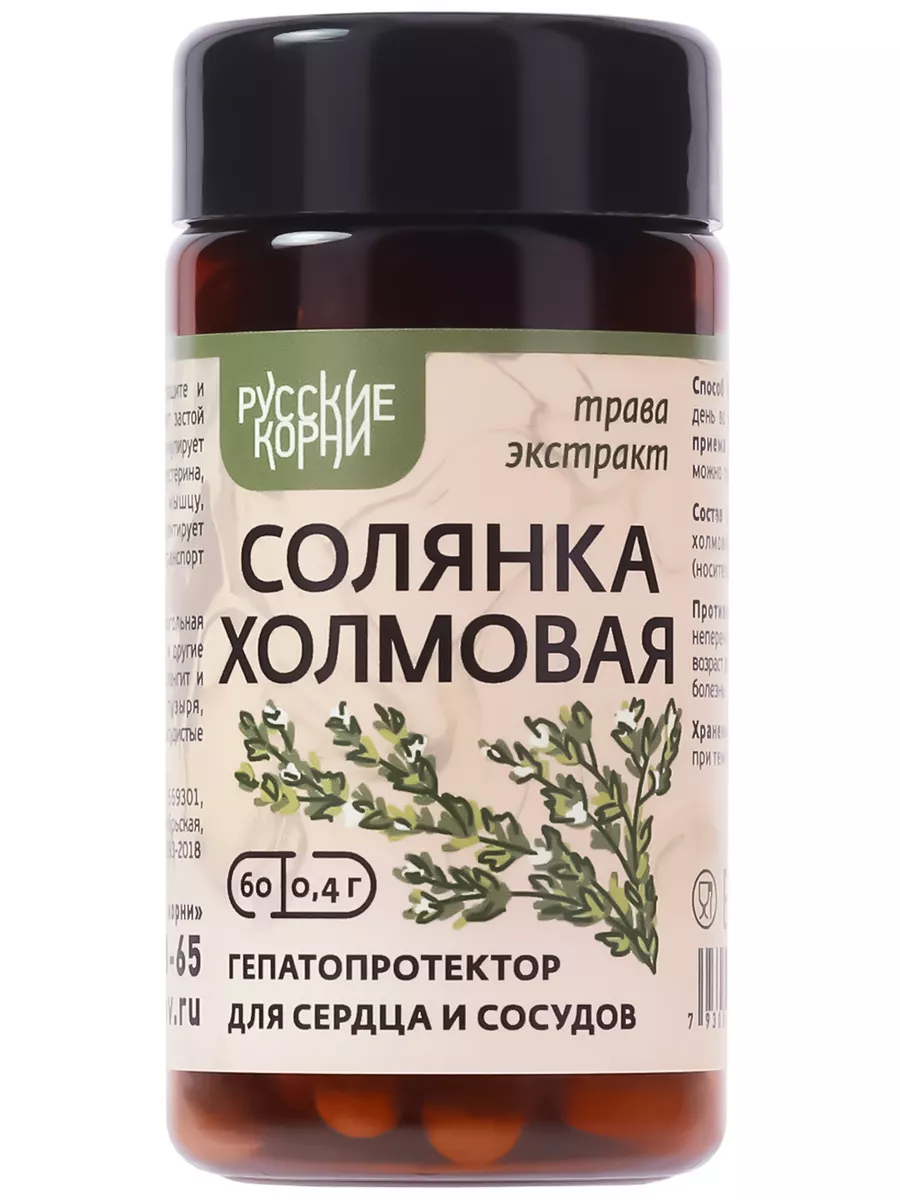 Солянка холмовая экстракт для печени кишечника похудения Русские корни  196149193 купить за 478 ₽ в интернет-магазине Wildberries