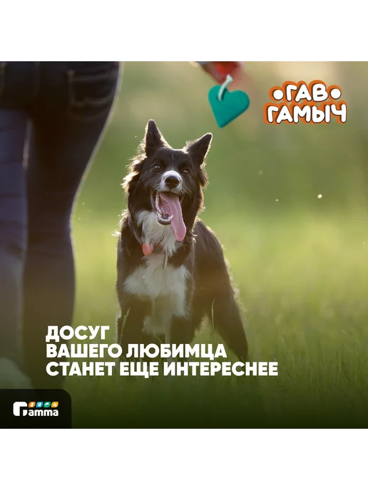 GAMMA Игрушка для собак Сердце с веревкой 9*8.5см, 9x8.5 см, фото 5
