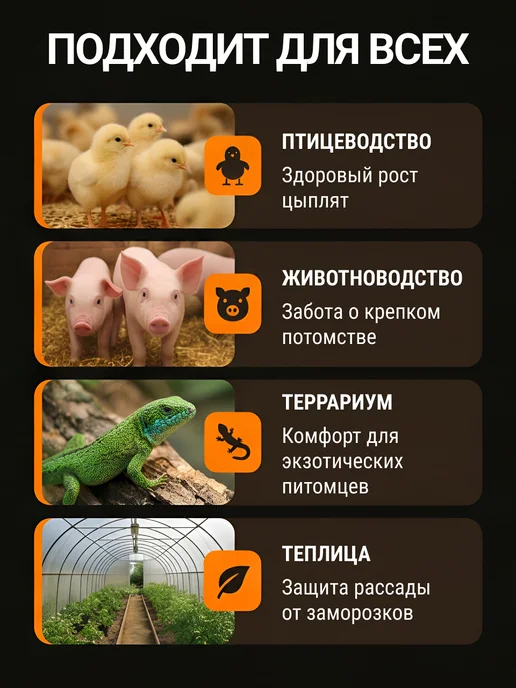 КЭЛЗ. Инфракрасная лампа для обогрева цыплят поросят 250 вт 2шт, 250 Вт, 2 шт, фото 2