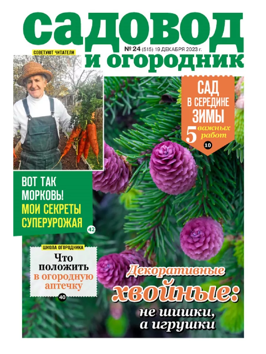 Секреты ухода за растениями. Сад в середине зимы №24/23 Садовод и огородник  196174124 купить за 122 ₽ в интернет-магазине Wildberries